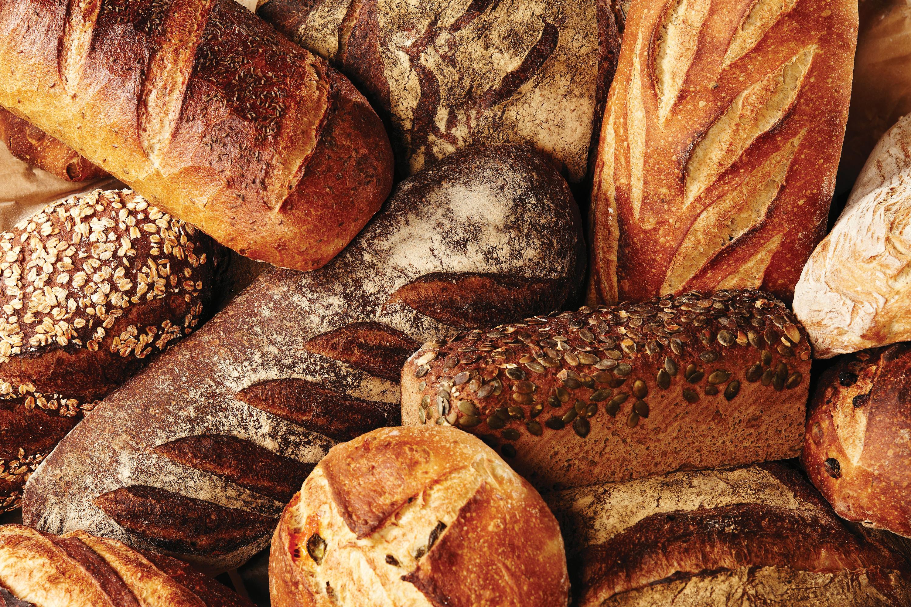 Link to Build Your Custom Box. Assortment of izzio artisan sourdough loaves with scored, flour-dusted crusts, some topped with rolled oats and pumpkin seeds.