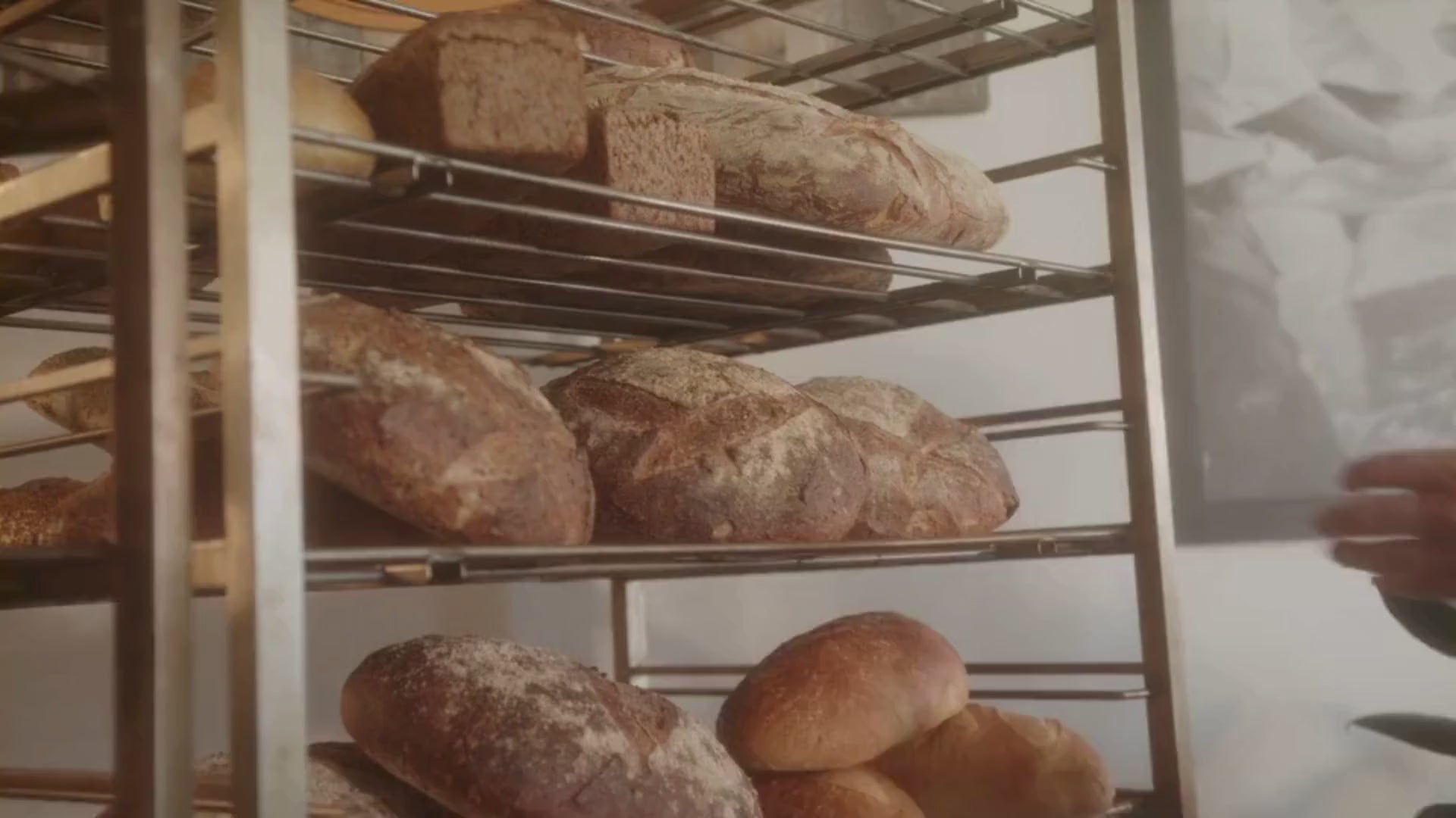 A video explaining izzio's mission